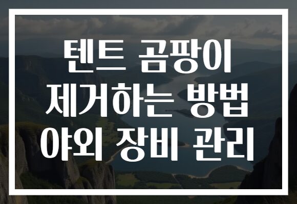 텐트 곰팡이 제거하는 방법 야외 장비 관리