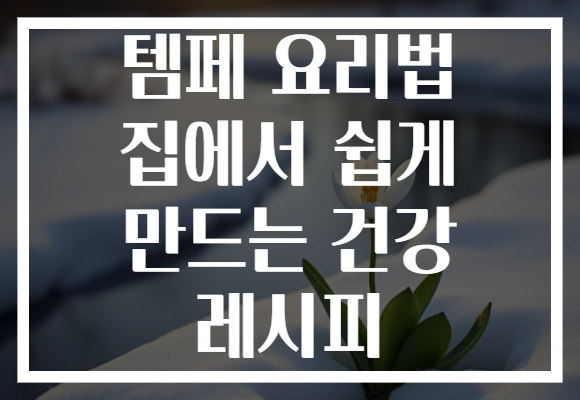 템페 요리법 집에서 쉽게 만드는 건강 레시피