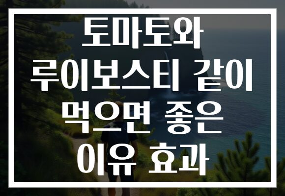 토마토와 루이보스티 같이 먹으면 좋은 이유 효과