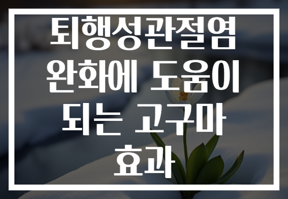 퇴행성관절염 완화에 도움이 되는 고구마 효과