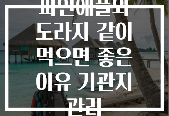 파인애플와 도라지 같이 먹으면 좋은 이유 기관지 관리