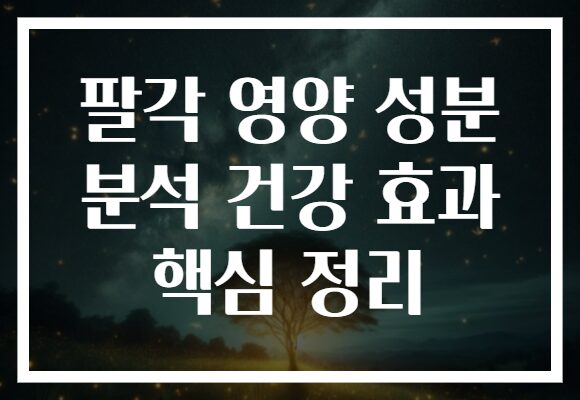 팔각 영양 성분 분석 건강 효과 핵심 정리