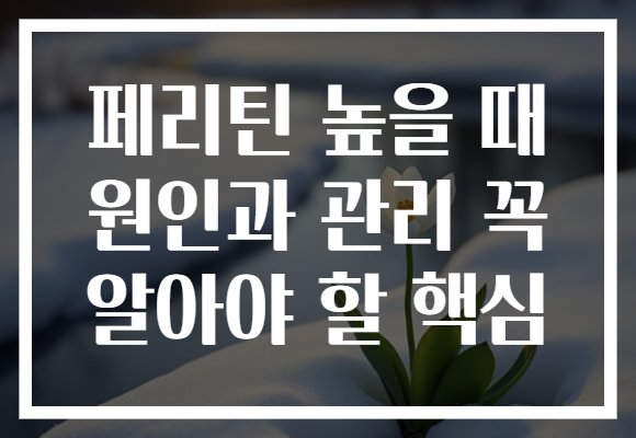 페리틴 높을 때 원인과 관리 꼭 알아야 할 핵심