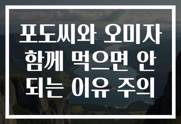 포도씨와 오미자 함께 먹으면 안 되는 이유 주의