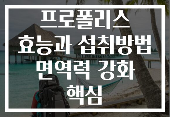 프로폴리스 효능과 섭취방법 면역력 강화 핵심