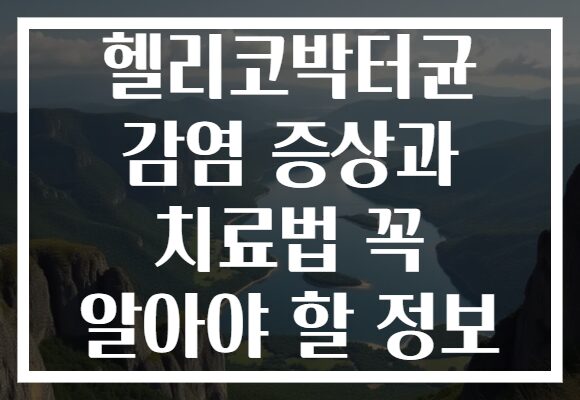 헬리코박터균 감염 증상과 치료법 꼭 알아야 할 정보