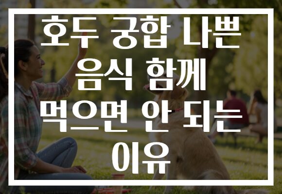 호두 궁합 나쁜 음식 함께 먹으면 안 되는 이유