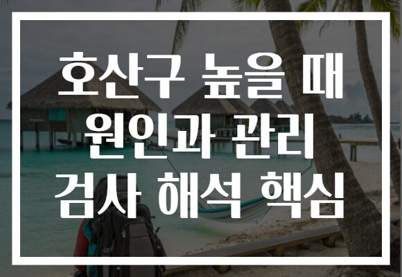 호산구 높을 때 원인과 관리 검사 해석 핵심