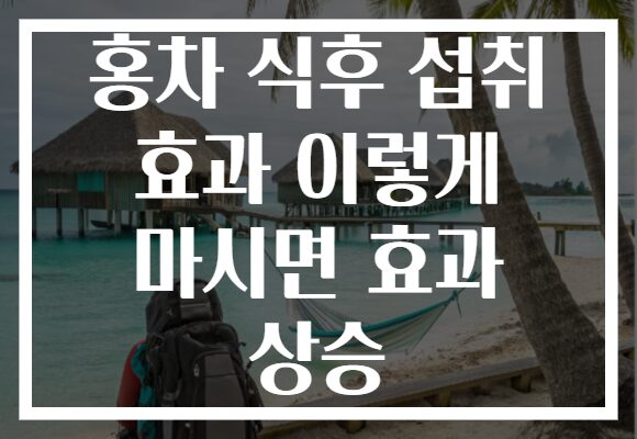홍차 식후 섭취 효과 이렇게 마시면 효과 상승