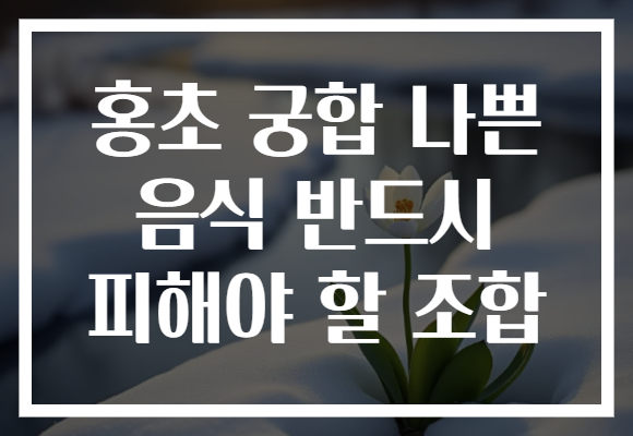 홍초 궁합 나쁜 음식 반드시 피해야 할 조합