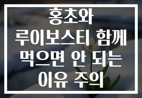 홍초와 루이보스티 함께 먹으면 안 되는 이유 주의