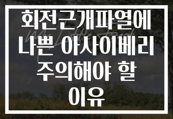 회전근개파열에 나쁜 아사이베리 주의해야 할 이유