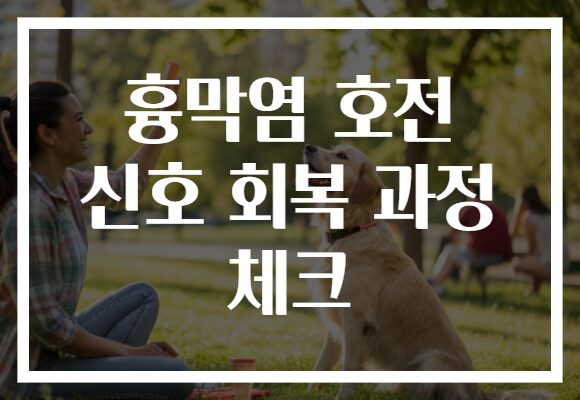 흉막염 호전 신호 회복 과정 체크