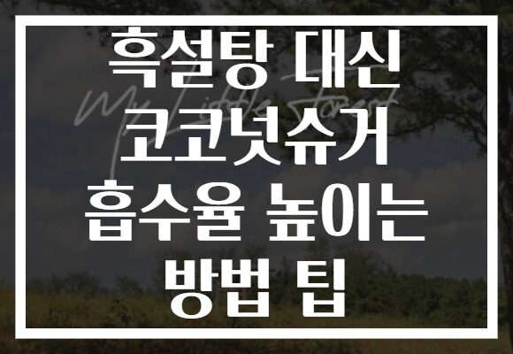 흑설탕 대신 코코넛슈거 흡수율 높이는 방법 팁