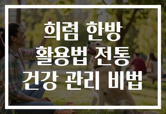 희렴 한방 활용법 전통 건강 관리 비법