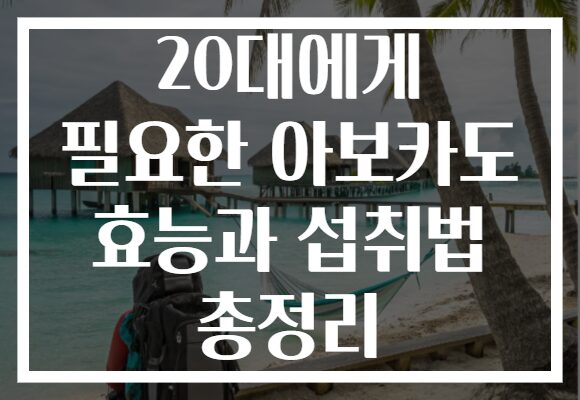 20대에게 필요한 아보카도 효능과 섭취법 총정리