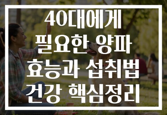 40대에게 필요한 양파 효능과 섭취법 건강 핵심정리