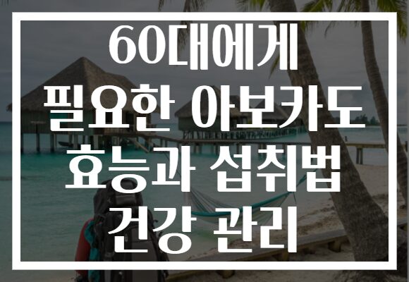 60대에게 필요한 아보카도 효능과 섭취법 건강 관리