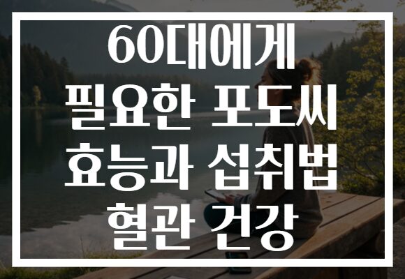 60대에게 필요한 포도씨 효능과 섭취법 혈관 건강
