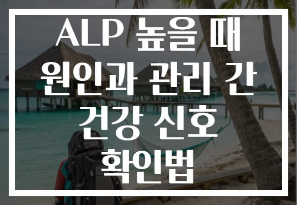 ALP 높을 때 원인과 관리 간 건강 신호 확인법