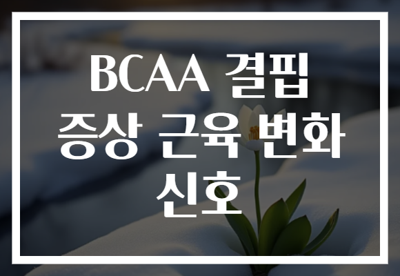 BCAA 결핍 증상 근육 변화 신호