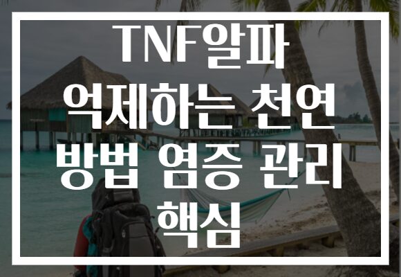 TNF알파 억제하는 천연 방법 염증 관리 핵심