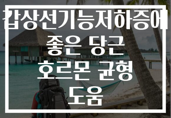 갑상선기능저하증에 좋은 당근 호르몬 균형 도움