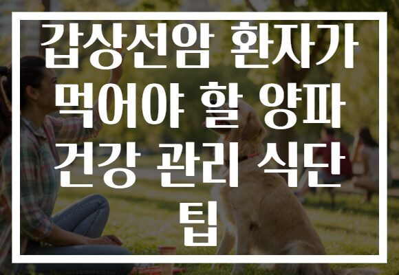갑상선암 환자가 먹어야 할 양파 건강 관리 식단 팁