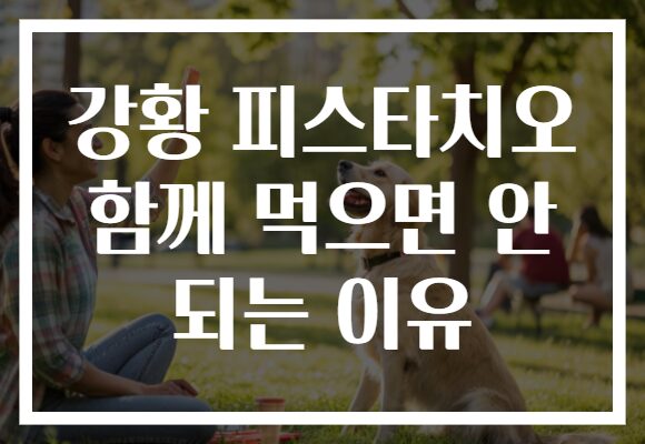 강황 피스타치오 함께 먹으면 안 되는 이유