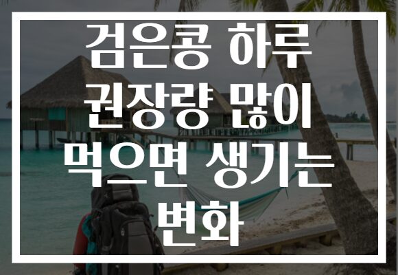 검은콩 하루 권장량 많이 먹으면 생기는 변화