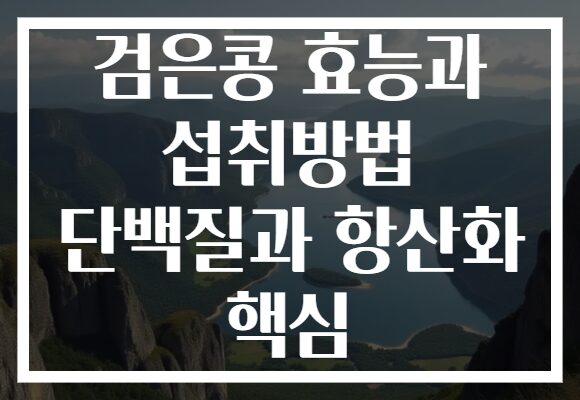 검은콩 효능과 섭취방법 단백질과 항산화 핵심