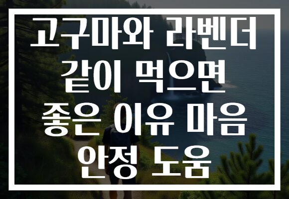 고구마와 라벤더 같이 먹으면 좋은 이유 마음 안정 도움