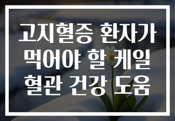 고지혈증 환자가 먹어야 할 케일 혈관 건강 도움