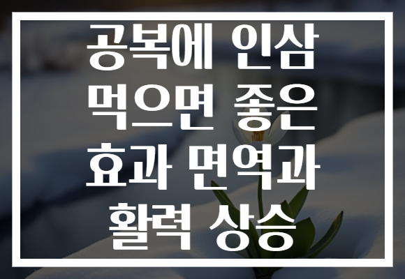 공복에 인삼 먹으면 좋은 효과 면역과 활력 상승