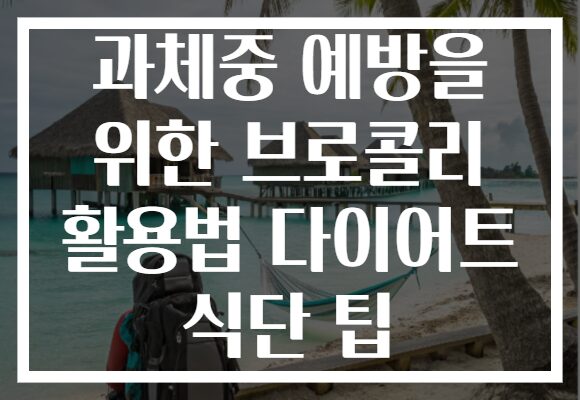 과체중 예방을 위한 브로콜리 활용법 다이어트 식단 팁