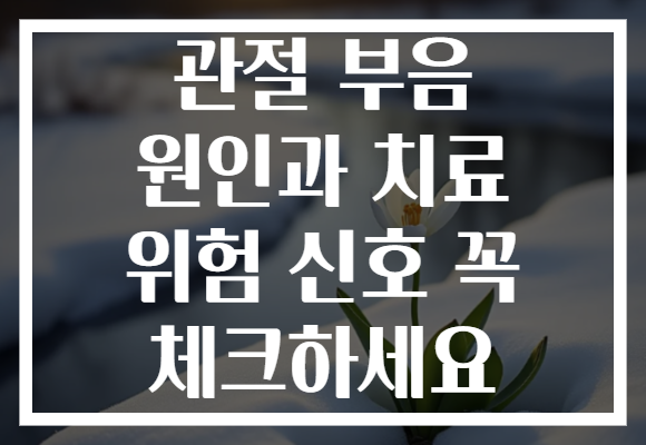 관절 부음 원인과 치료 위험 신호 꼭 체크하세요