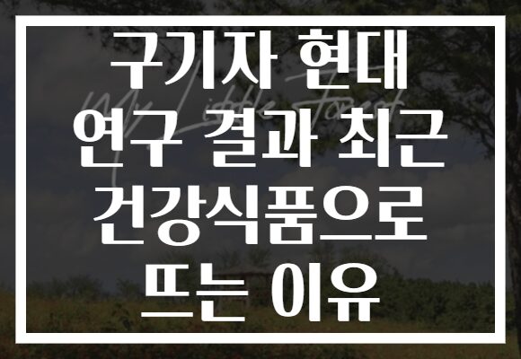 구기자 현대 연구 결과 최근 건강식품으로 뜨는 이유