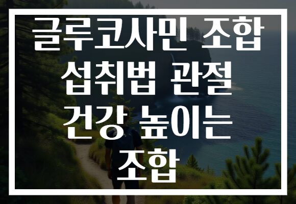 글루코사민 조합 섭취법 관절 건강 높이는 조합