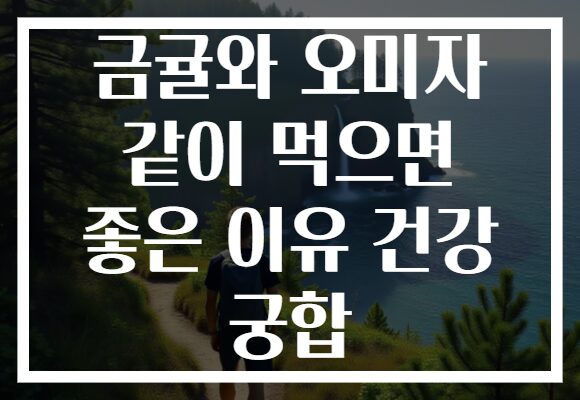 금귤와 오미자 같이 먹으면 좋은 이유 건강 궁합