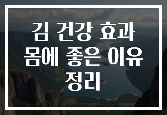 김 건강 효과 몸에 좋은 이유 정리