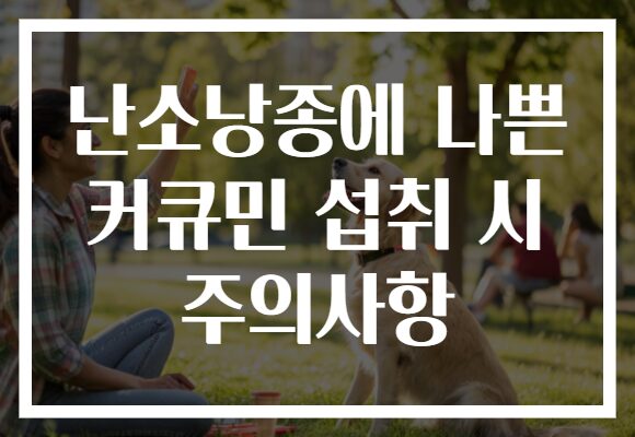 난소낭종에 나쁜 커큐민 섭취 시 주의사항