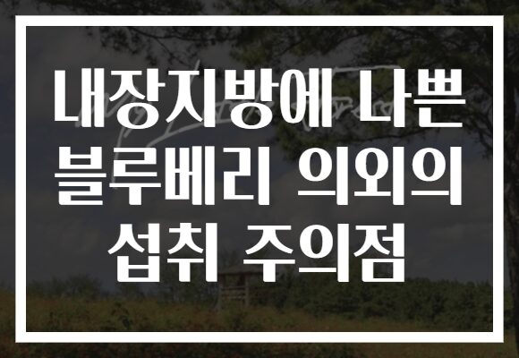 내장지방에 나쁜 블루베리 의외의 섭취 주의점