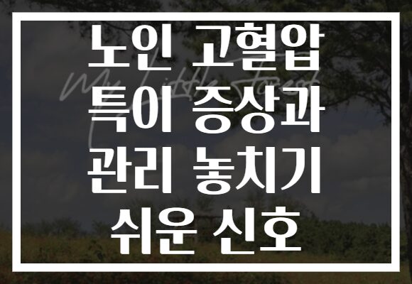 노인 고혈압 특이 증상과 관리 놓치기 쉬운 신호