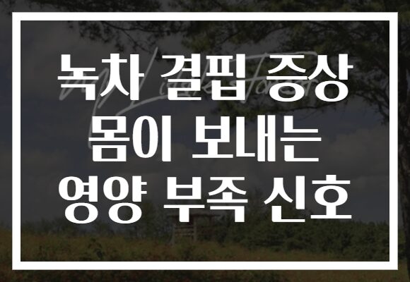녹차 결핍 증상 몸이 보내는 영양 부족 신호