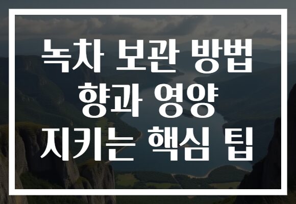 녹차 보관 방법 향과 영양 지키는 핵심 팁