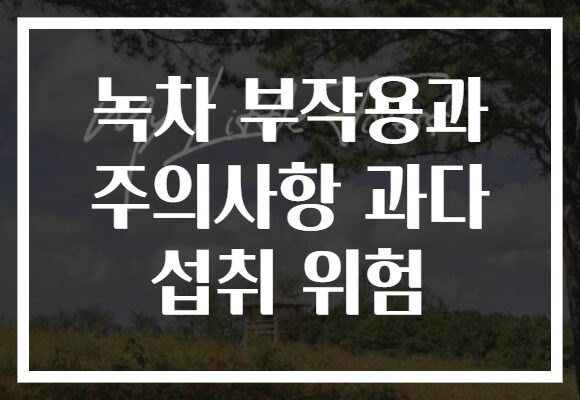 녹차 부작용과 주의사항 과다 섭취 위험