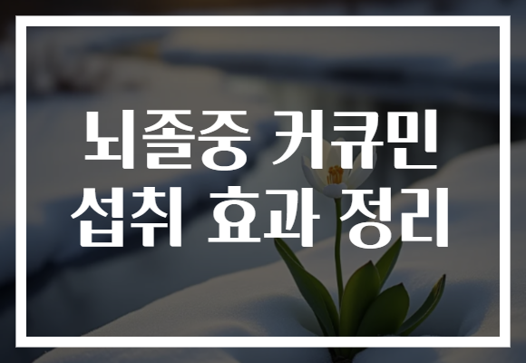 뇌졸중 커큐민 섭취 효과 정리