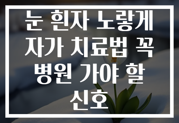 눈 흰자 노랗게 자가 치료법 꼭 병원 가야 할 신호