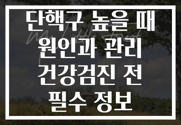 단핵구 높을 때 원인과 관리 건강검진 전 필수 정보