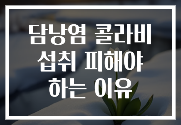 담낭염 콜라비 섭취 피해야 하는 이유